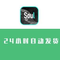 出售soul账号 soul实名号 哪里可以购买soul账号 soul账号交易平台 买号卖号【1组5个账号】